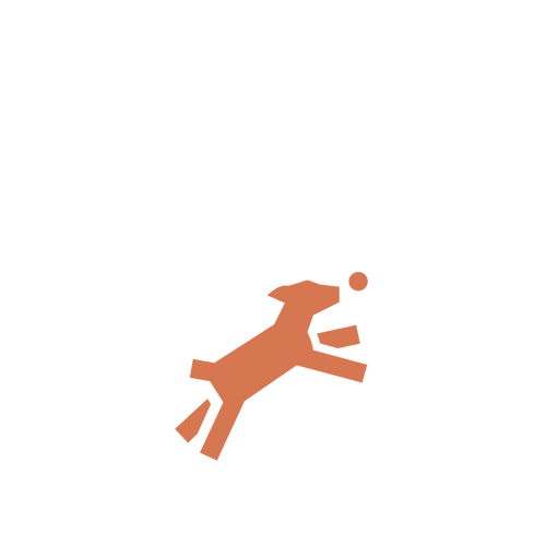 Pongo